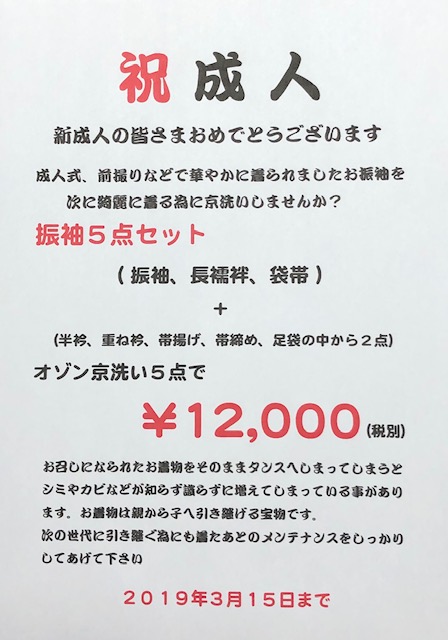 振り袖オゾン京洗い５点セット